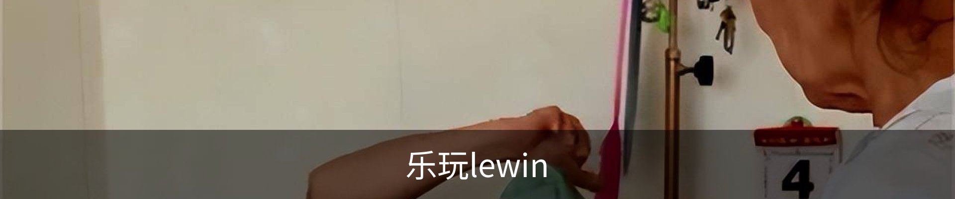 乐玩lewin